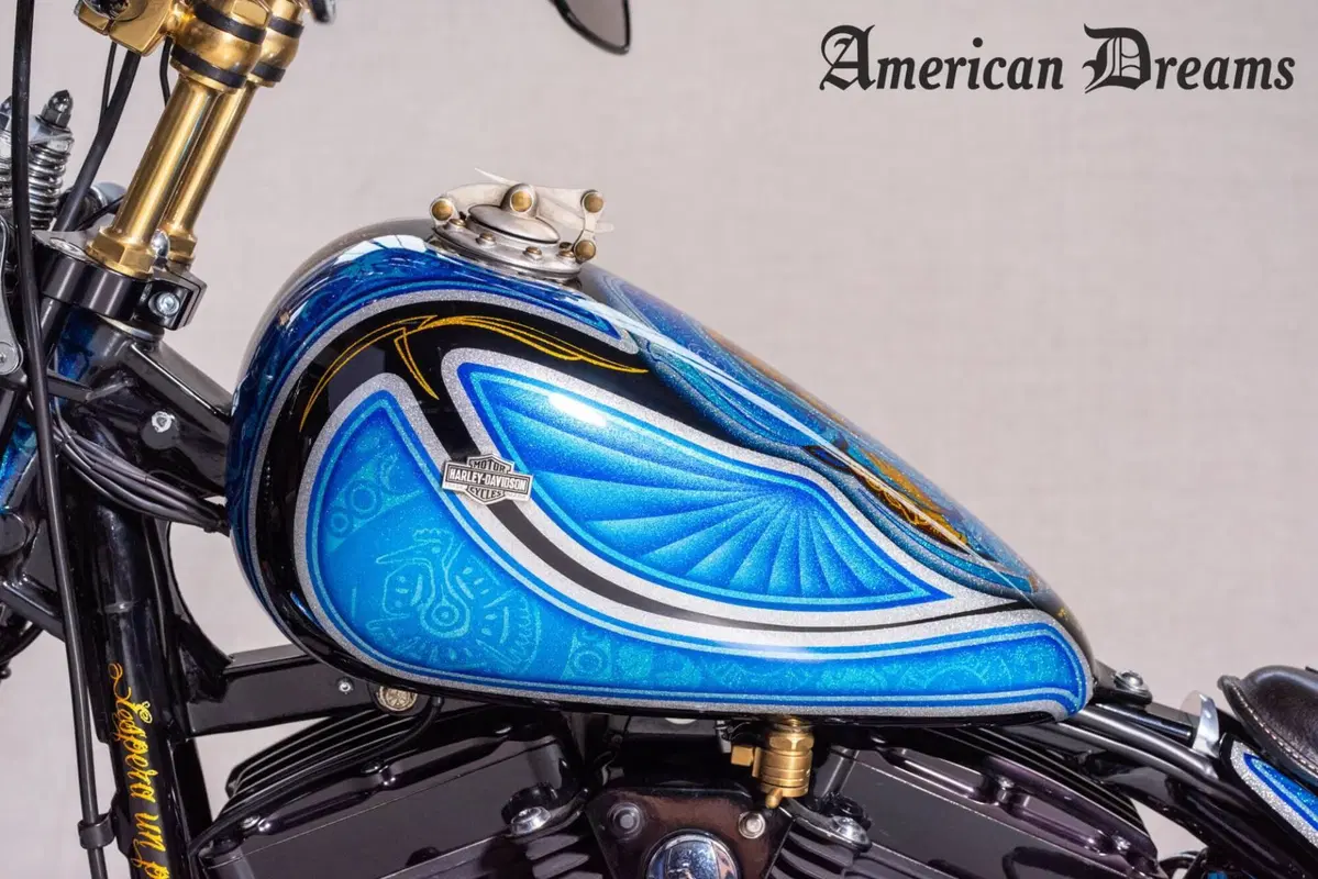 Harley-Davidson 1584 Cross Bones (2008 - 11) - FLSTSB (16)