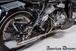 Harley-Davidson motocarrozzetta (12)