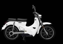 Motron Motorcycles Cubertino (2021 - 24) nuova