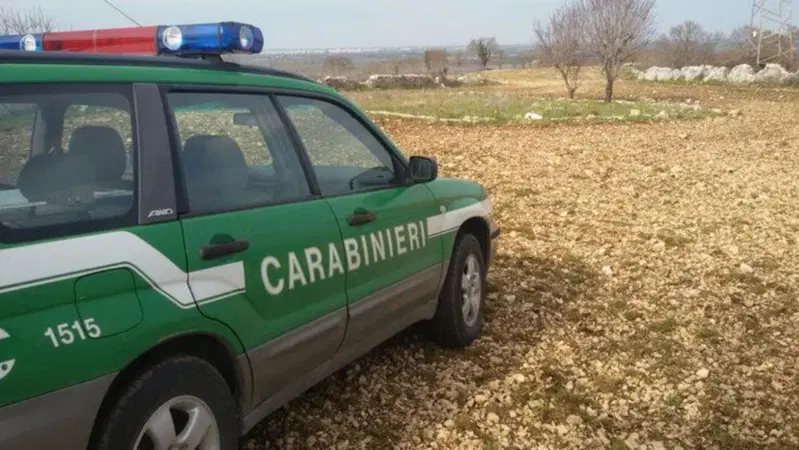 Isola d'Elba: con le moto nel parco protetto, multati 11 centauri