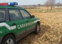 Isola d'Elba: con le moto nel parco protetto, multati 11 centauri