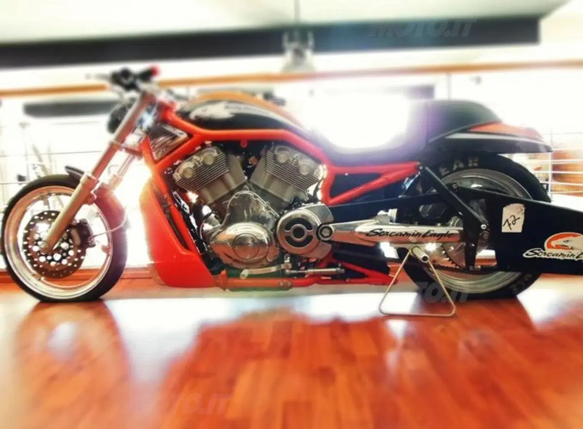 Storie di concessionari: Harley-Davidson Catania (8)