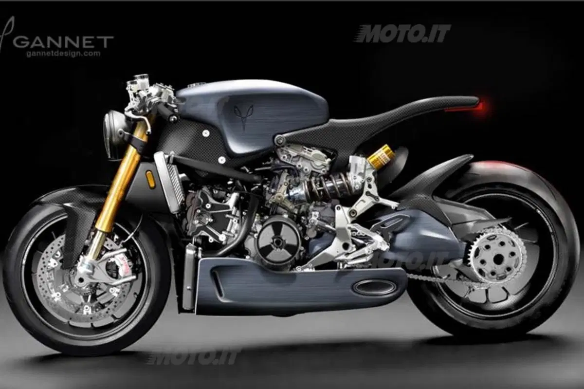 Gannet Design Ducati Superleggera Fluid (2)