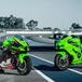 Kawasaki Ninja ZX-10R, nuova colorazione per il 2022. Non per l'Europa