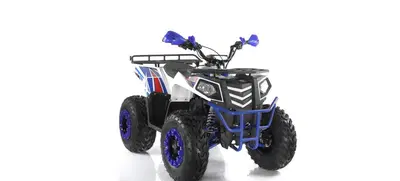  Altre moto o tipologie Quad nuova