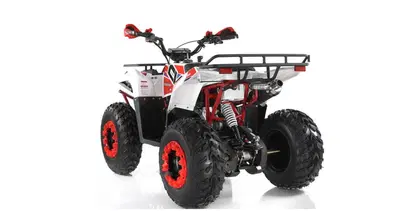  Altre moto o tipologie Quad nuova