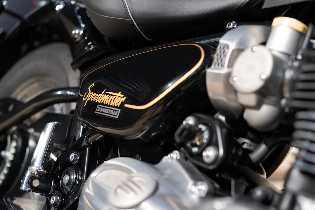Triumph Bonneville: arrivano le Gold Line Edition (7)