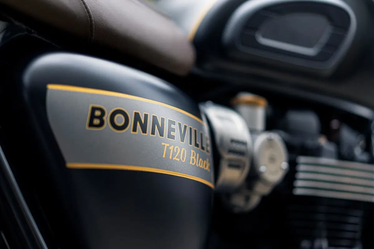 Triumph Bonneville: arrivano le Gold Line Edition (6)