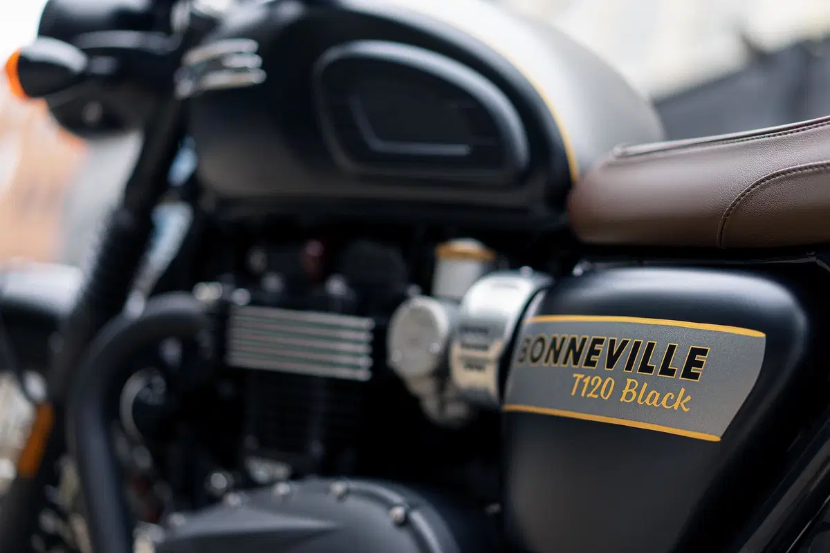 Triumph Bonneville: arrivano le Gold Line Edition (7)