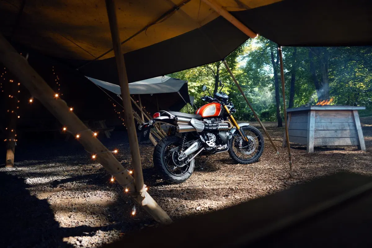 Triumph Bonneville: arrivano le Gold Line Edition (3)