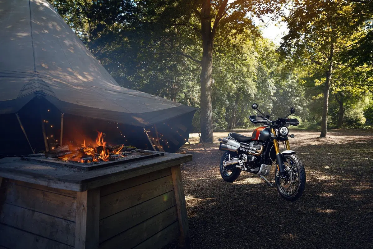 Triumph Bonneville: arrivano le Gold Line Edition (4)