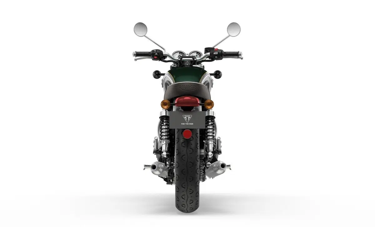 Triumph Bonneville T100 Bonneville T100 Gold Line Edition (2022) (4)