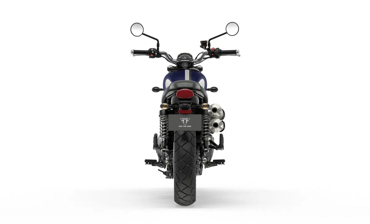 Triumph Street Scrambler 900 Street Scrambler 900 Gold Line Edition (2021 - 23) (5)