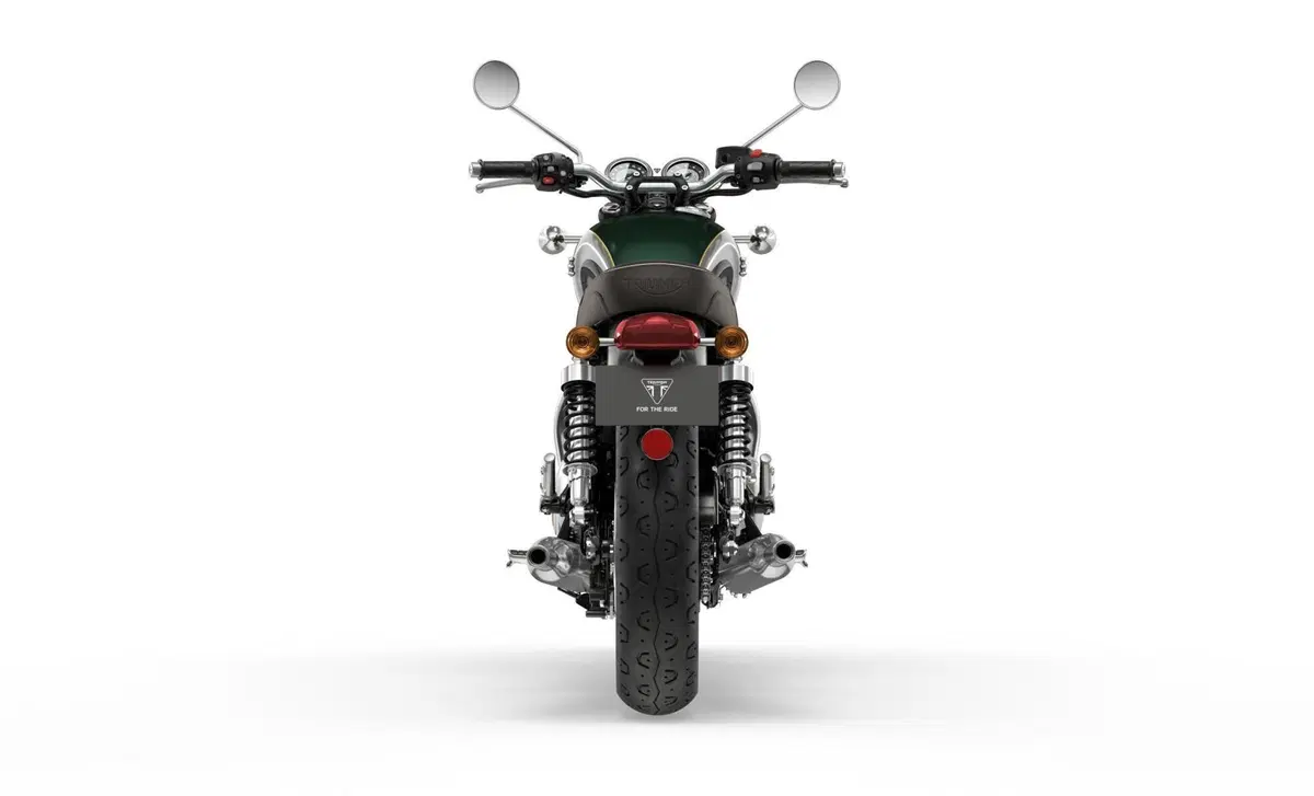 Triumph Bonneville T120 Bonneville T120 Gold Line Edition (2021) (3)