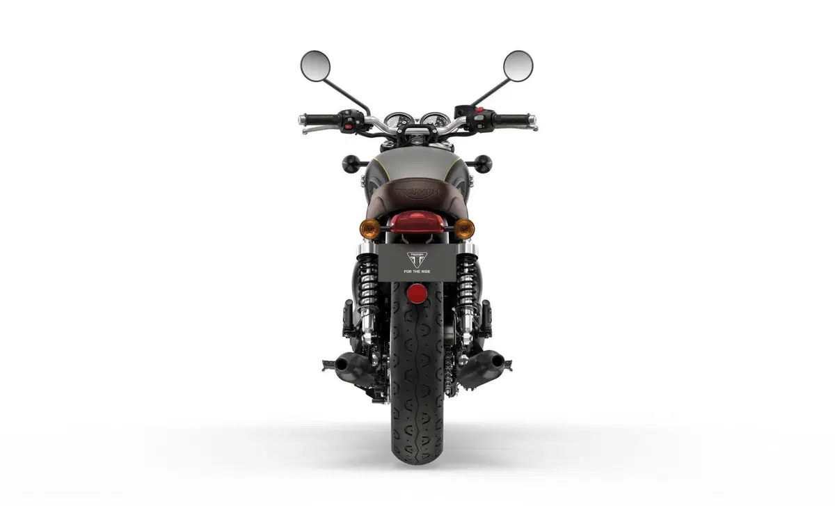 Triumph Bonneville T120 Bonneville T120 Gold Line Edition (2022 - 23) (4)
