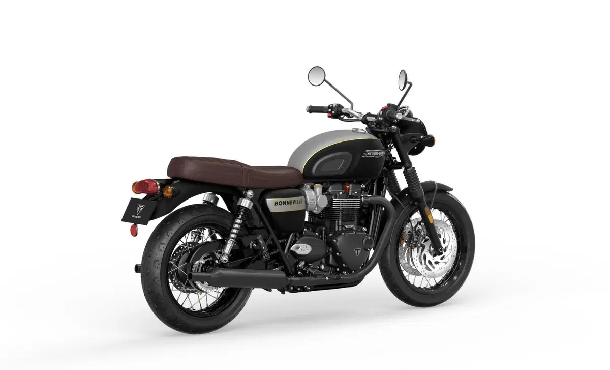Triumph Bonneville T120 Bonneville T120 Gold Line Edition (2022 - 23) (7)