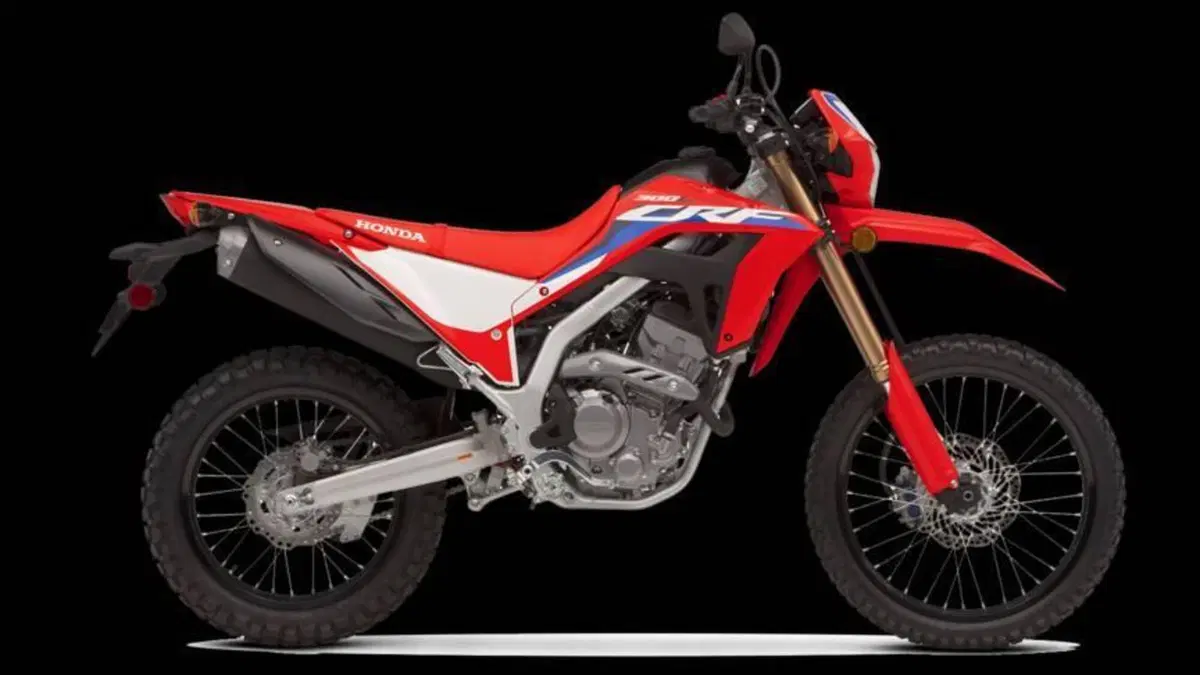 Honda CRF 300L (2021 - 24)