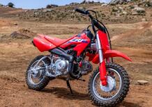 Honda CRF 50 F (2022)