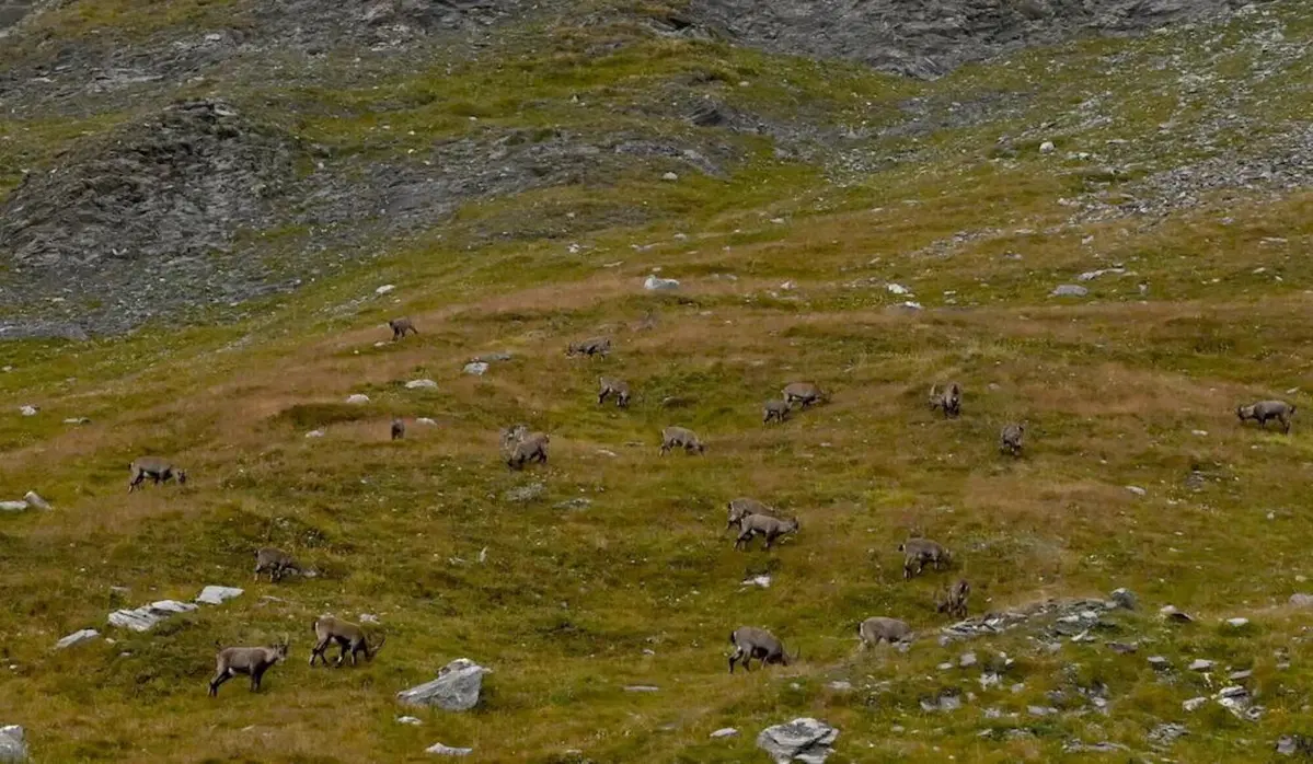 Viaggi, itinerari e giri in moto: il Colle Dell’Agnello in moto con papà (4)