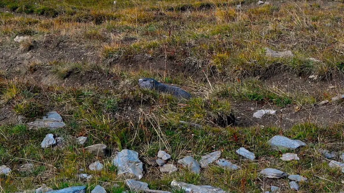 Viaggi, itinerari e giri in moto: il Colle Dell’Agnello in moto con papà (18)