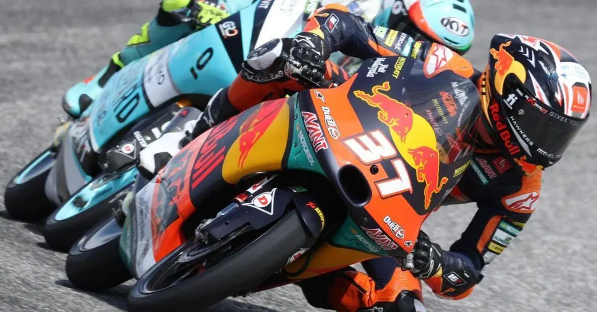 MotoGP 2021. Il GP di Algarve a Portimao. Moto3, Pedro Acosta: "Ho sempre creduto in me stesso"