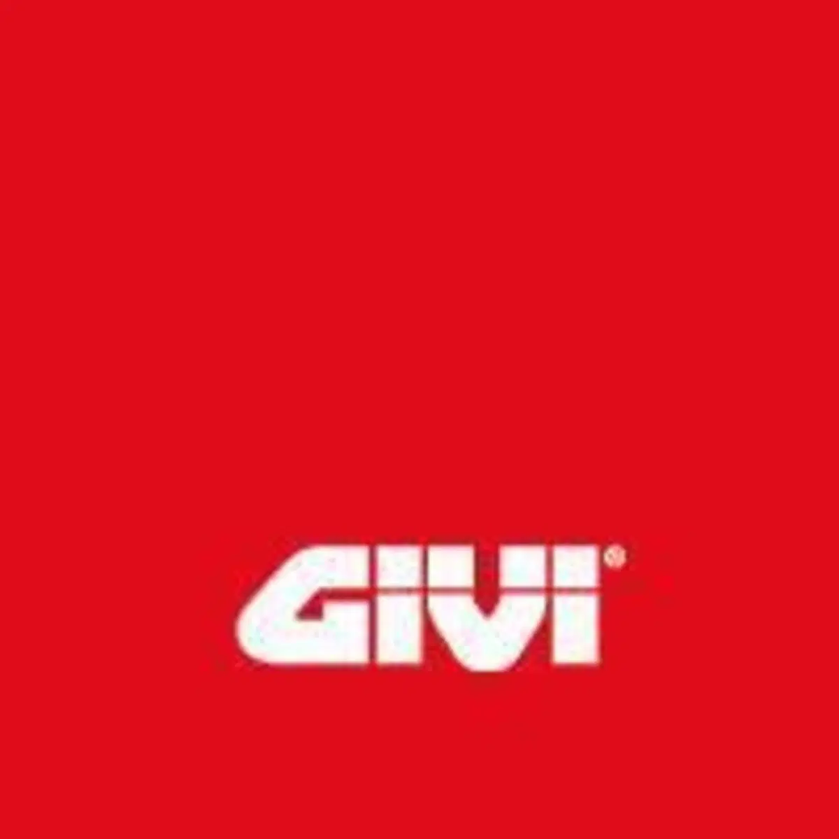 PORTABORSE LATERALI HONDA HORNET 600 Givi