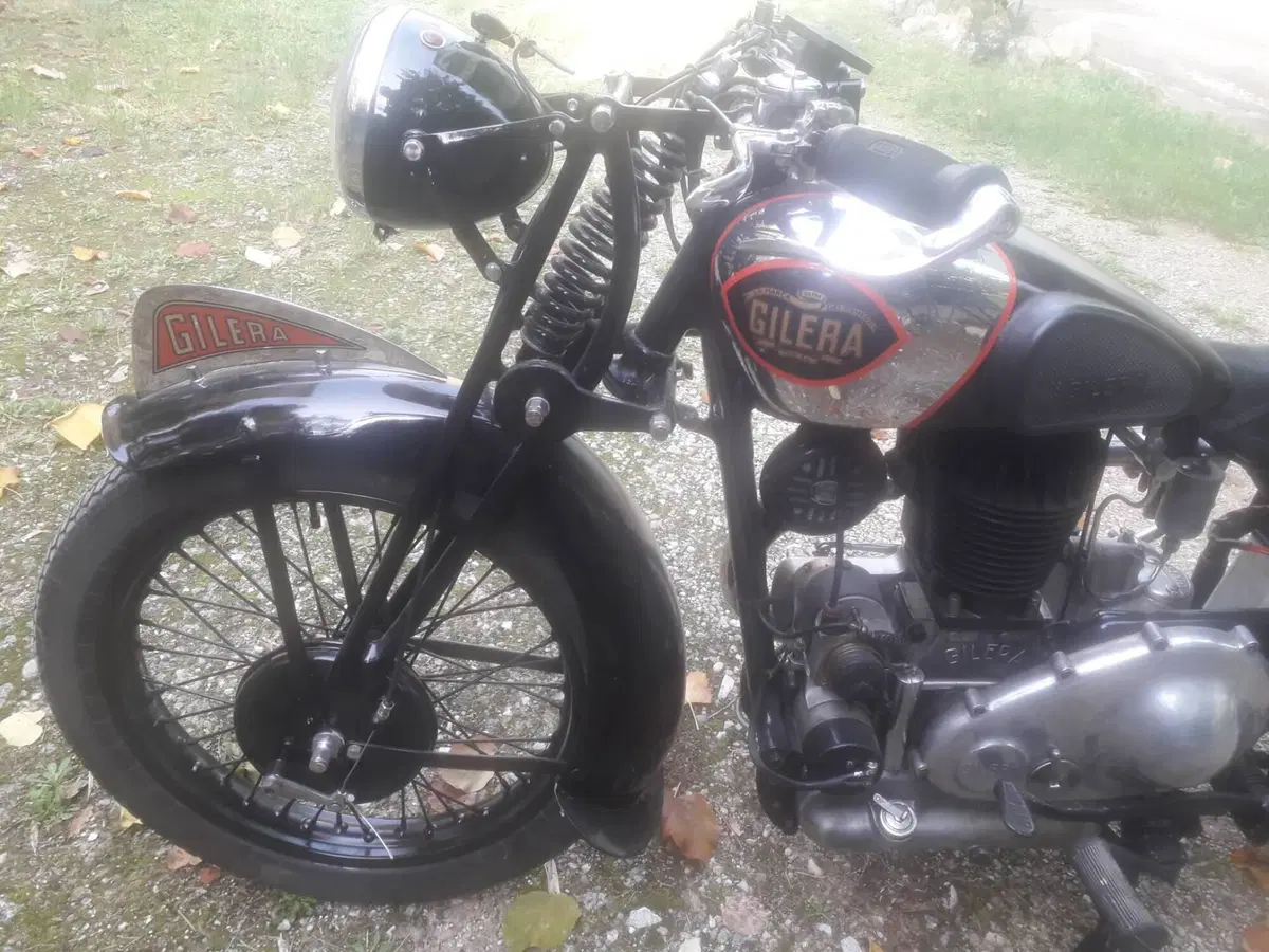 Gilera Vle 500 (3)