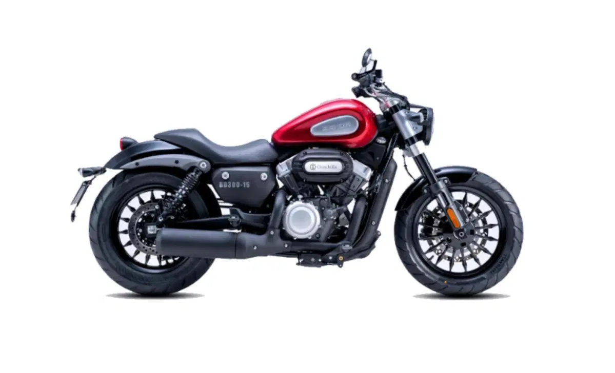 Benda Motorcycles BD-300 Sporty BD-300 Sporty (2021 - 23) (2)