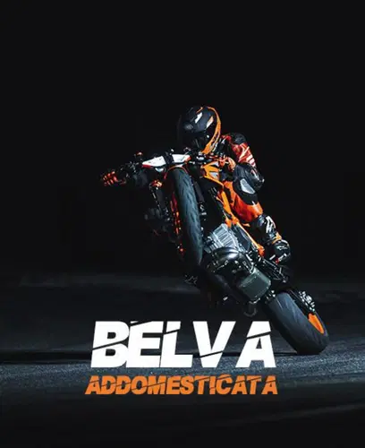 KTM 1290 SUPER DUKE R Evo