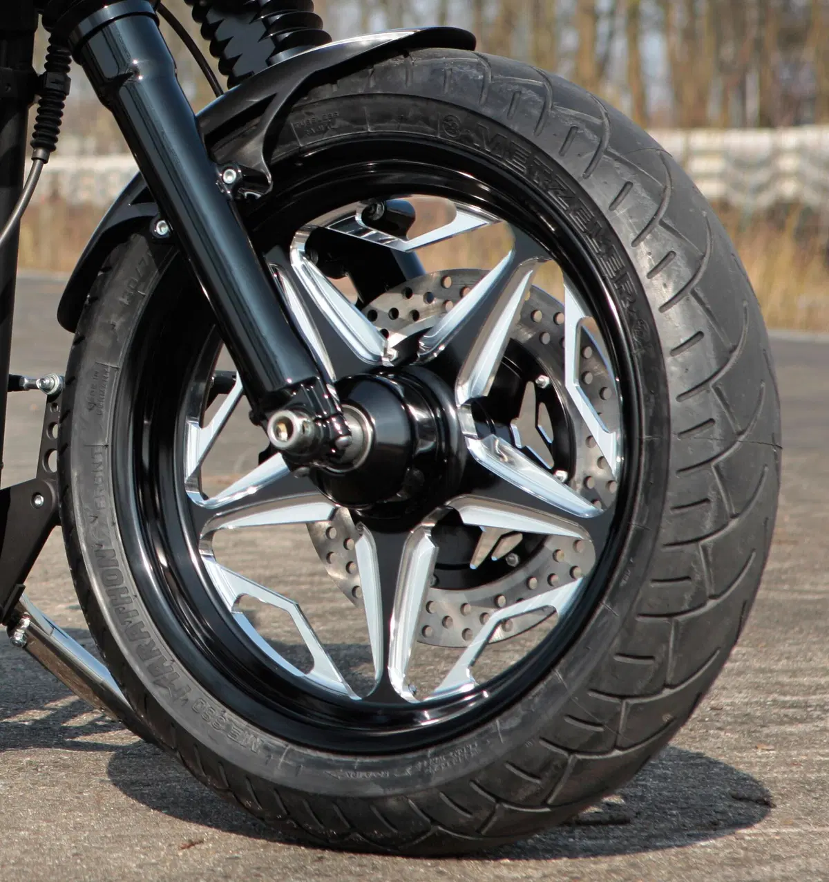Disco freno anteriore Diametro 11,5" Speed Star si RevTech