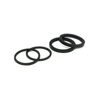 Kit paraoli pinza freno anteriore per Sportster da 