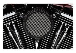 Filtro dell'aria Cobra Naked Plain per Softail dal 