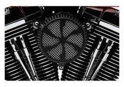 Filtro dell'aria Cobra Naked Sweept per Sportster 