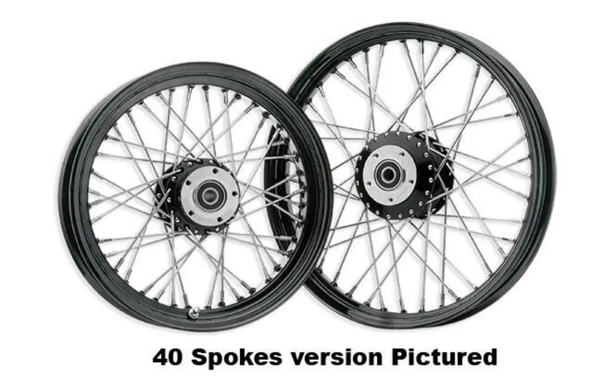 Ruota posteriore 16 x 3,5 - 80 raggi nera Custom C 