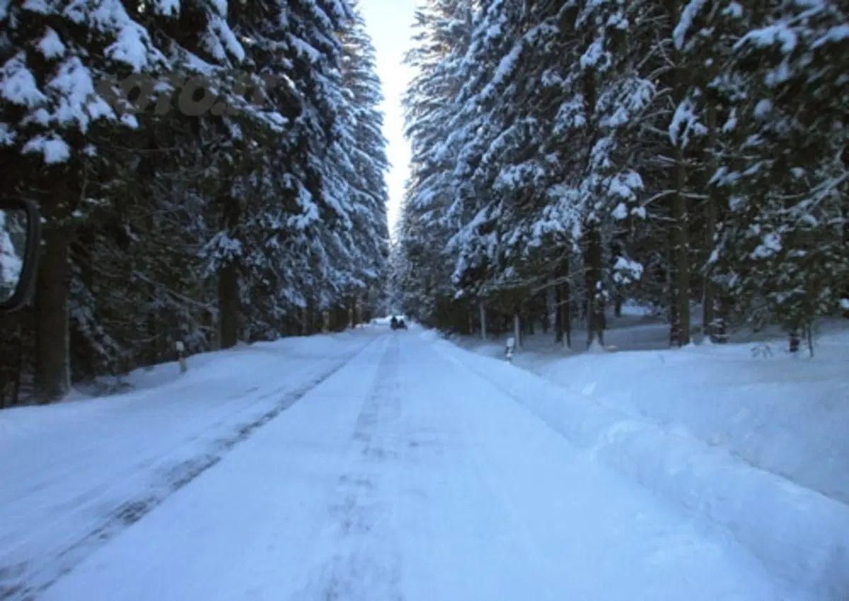 Elefantentreffen 2014: al raduno con il sidecar dell'Ural Club  (2)