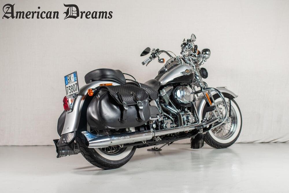 Harley-Davidson 1450 Springer (2001 - 03) - FXSTS (3)