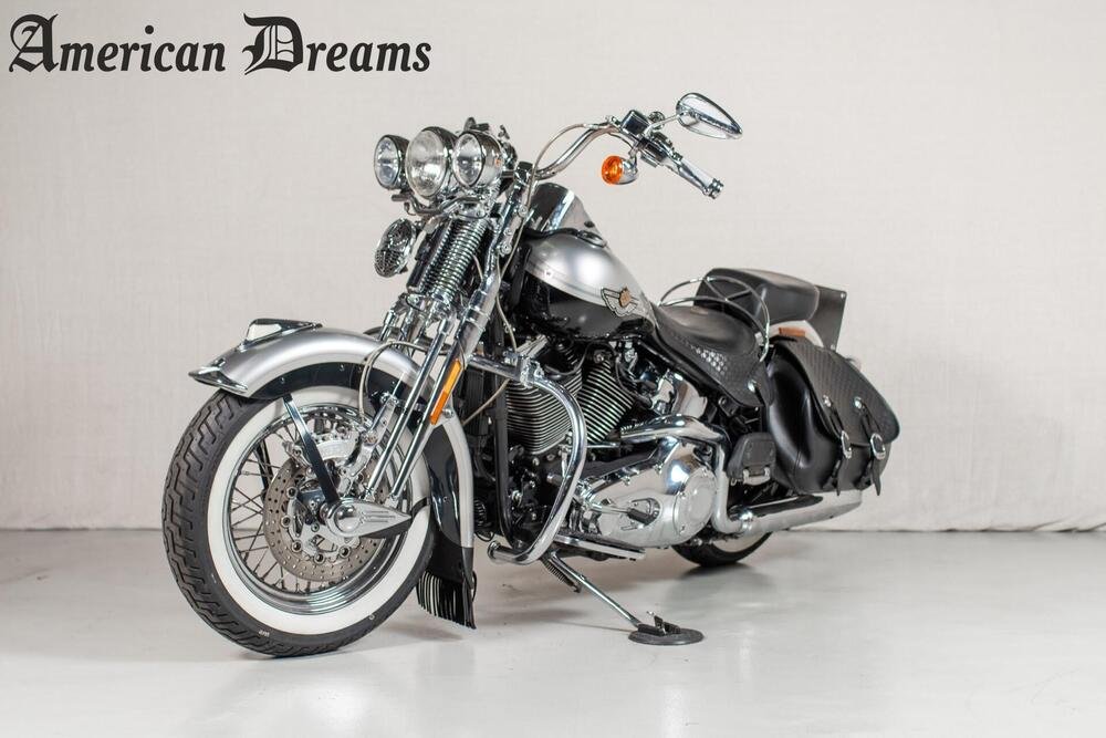 Harley-Davidson 1450 Springer (2001 - 03) - FXSTS (4)