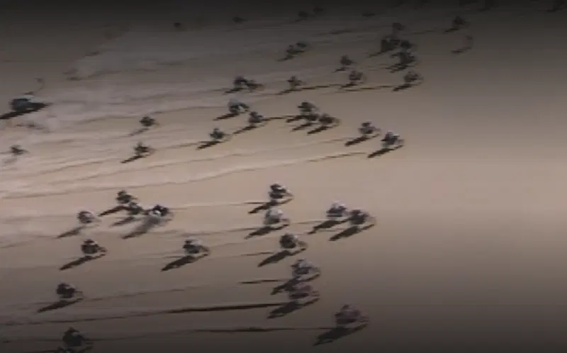 Lucky Explorer Project