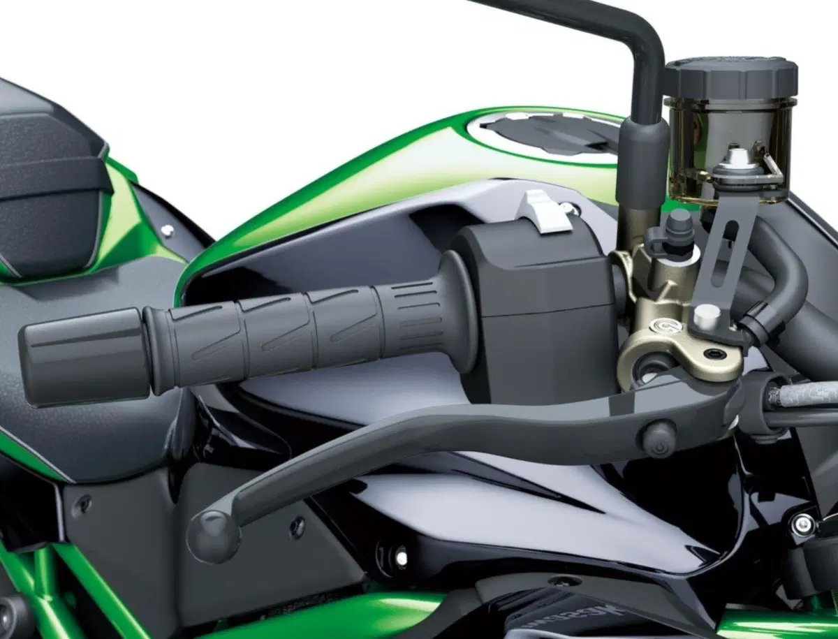 Kawasaki Z H2 SE. Confermata per il 2022 (6)