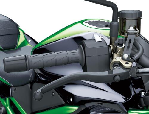 Kawasaki Z H2 SE. Confermata per il 2022 (6)