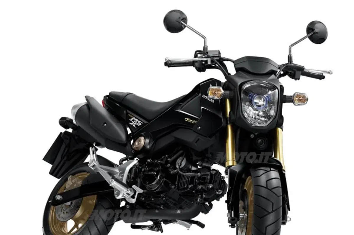 Nuovi colori per la Honda MSX125 2014