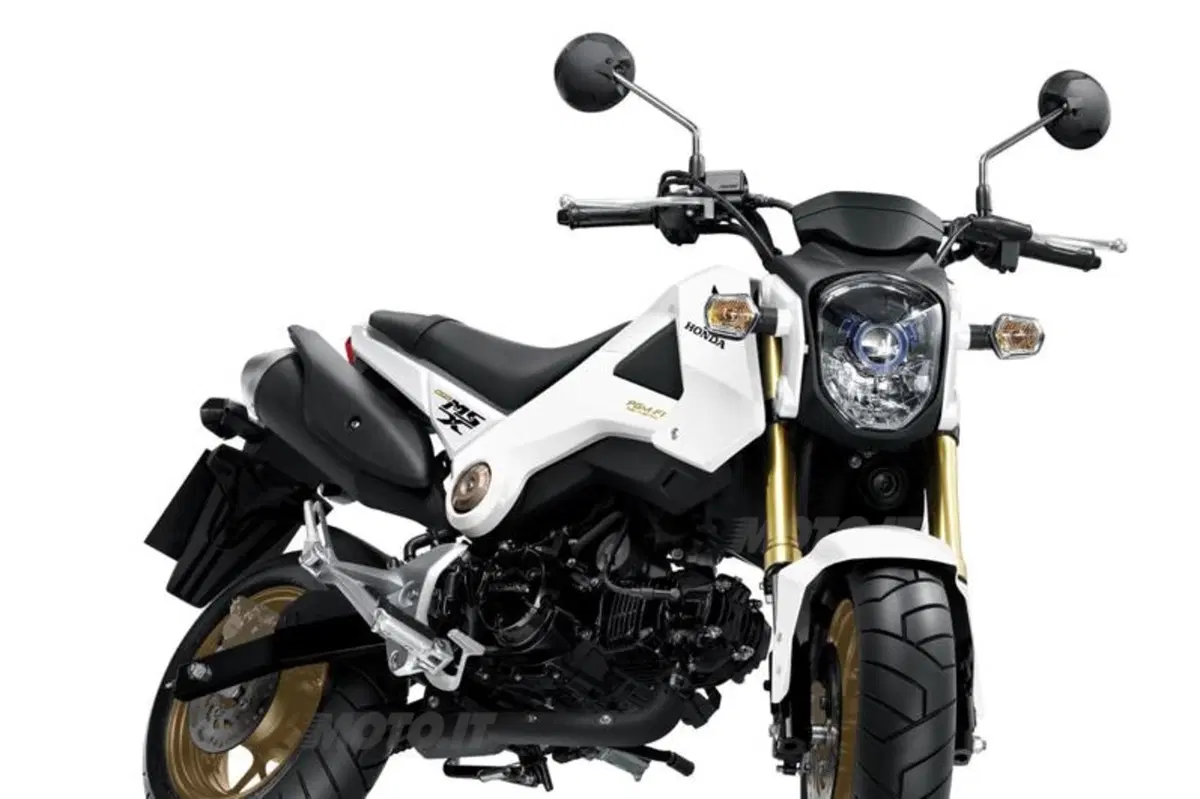 Nuovi colori per la Honda MSX125 2014 (2)