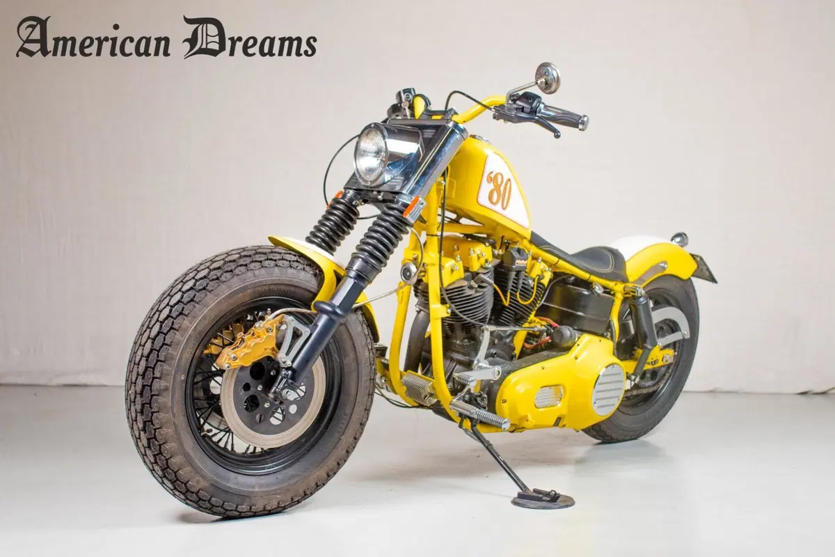 Harley-Davidson FL (3)