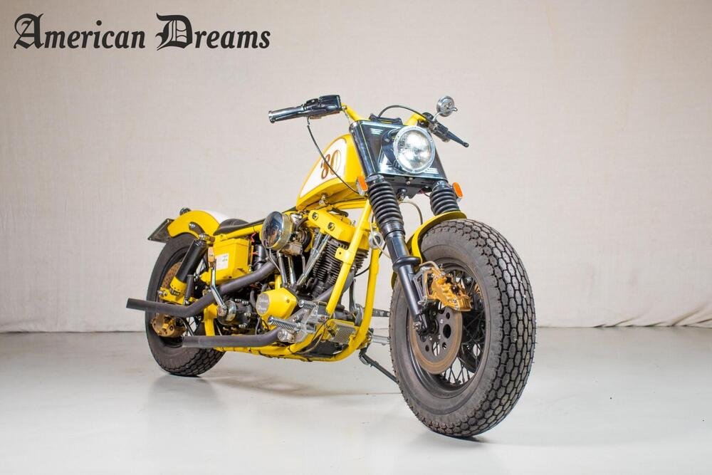 Harley-Davidson FL (2)