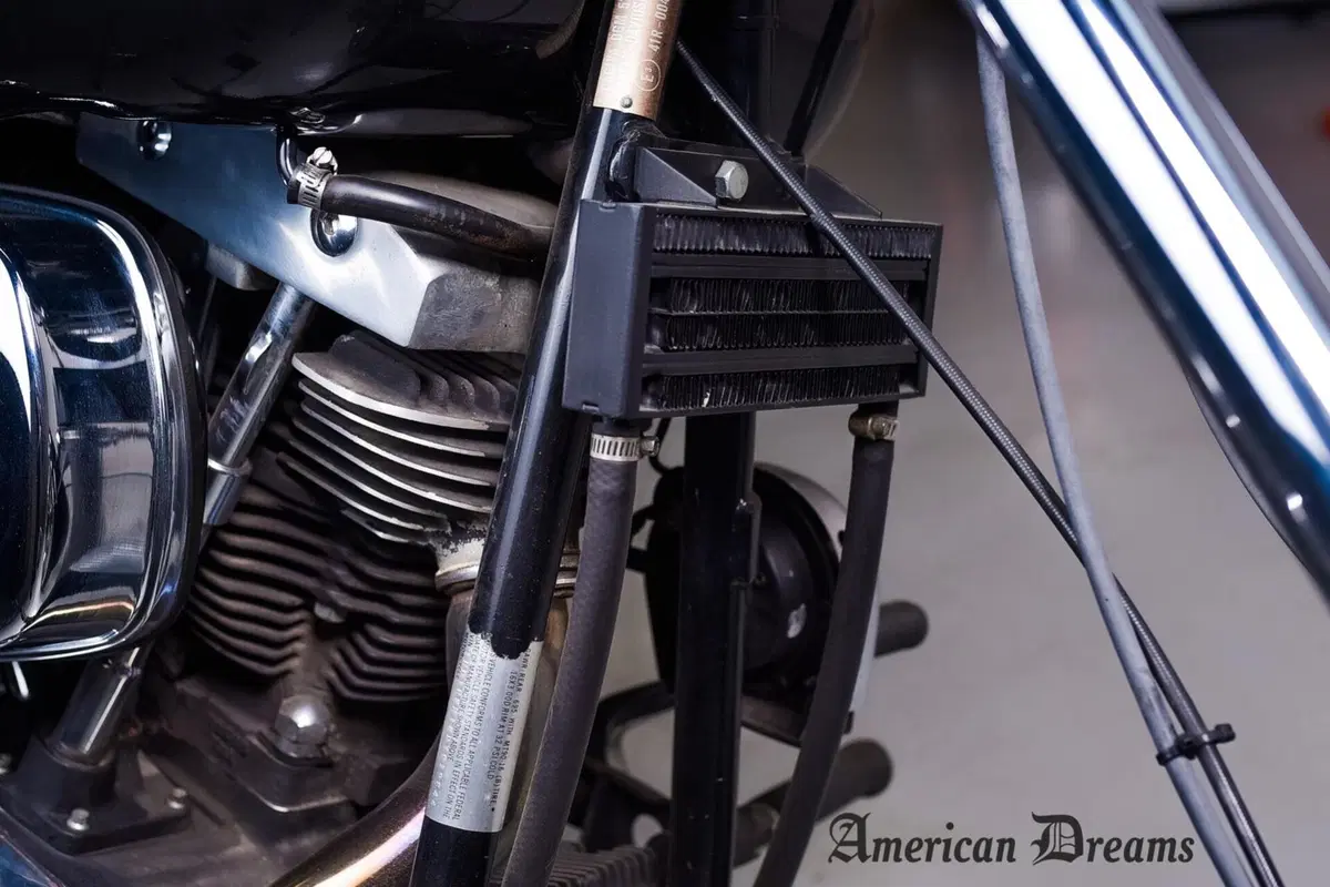 Harley-Davidson FXD 1340 CONSERVATA (15)