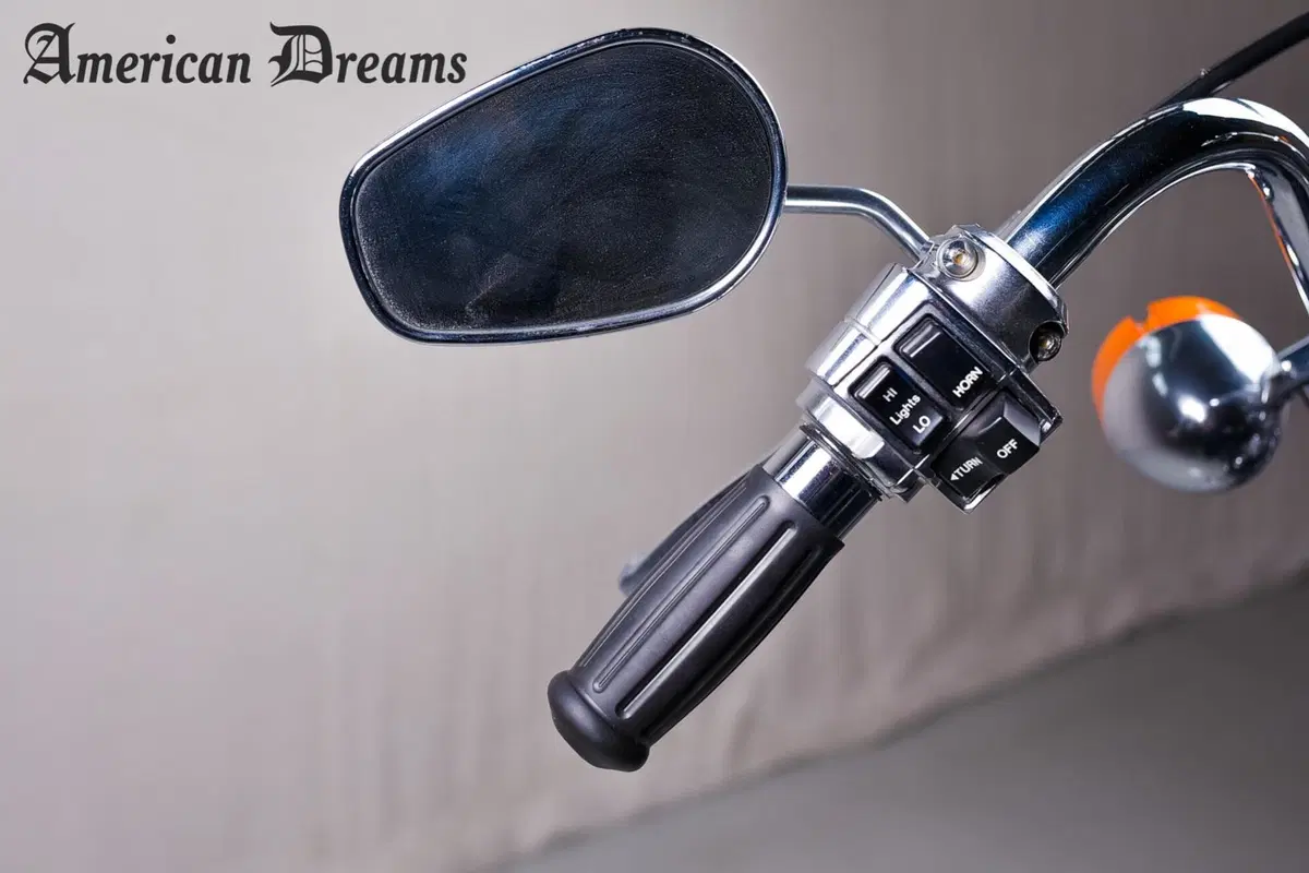 Harley-Davidson Touring (19)