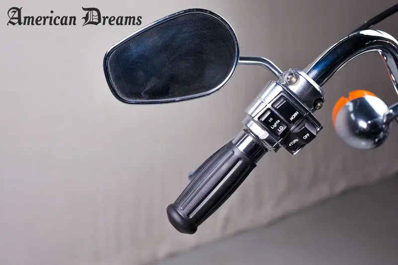 Harley-Davidson Touring (19)