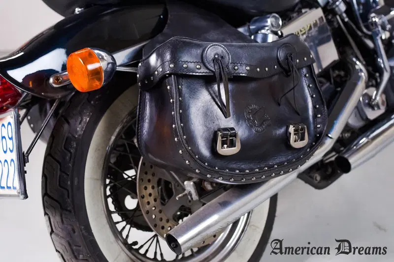 Harley-Davidson Touring (11)