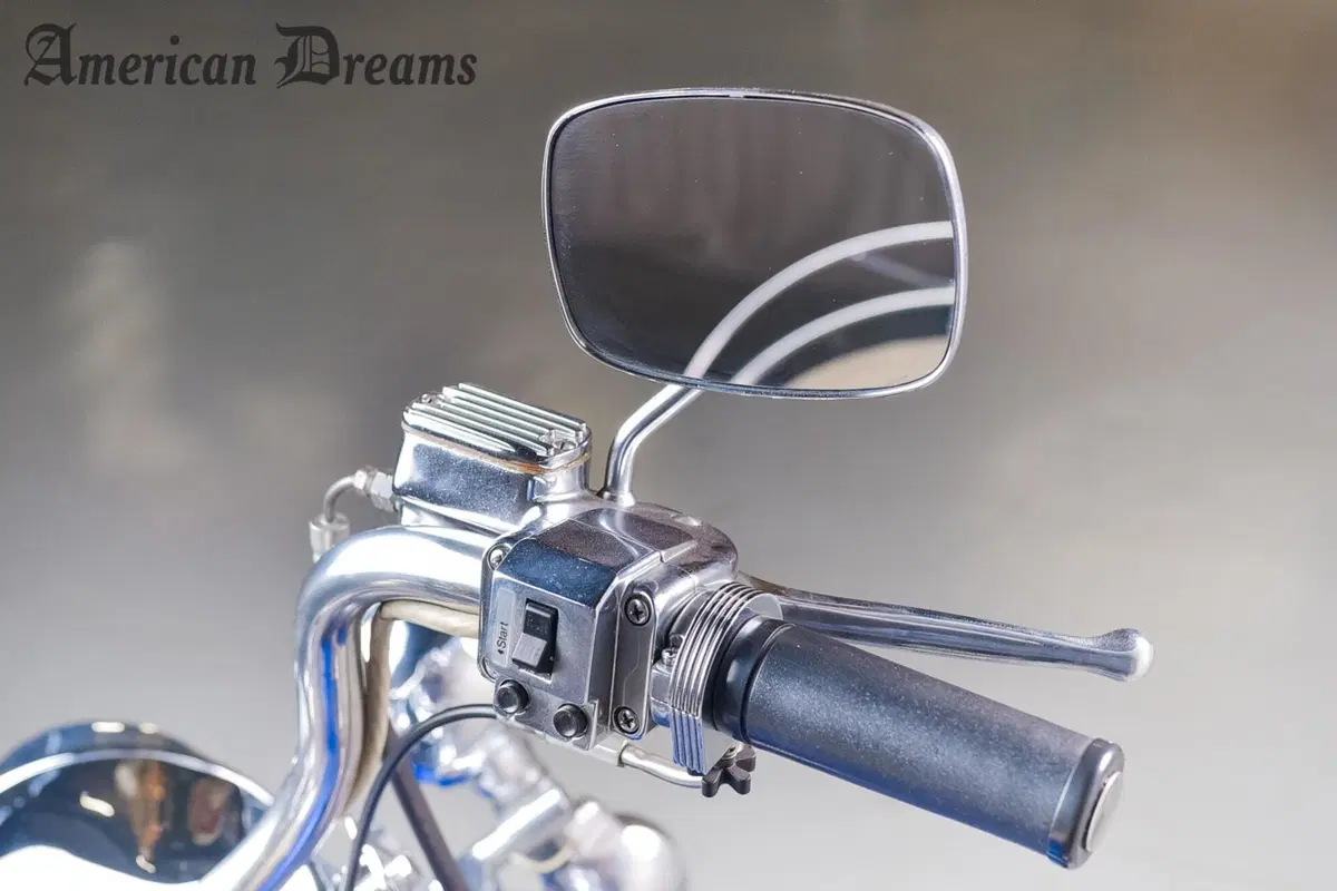 Harley-Davidson Touring (17)
