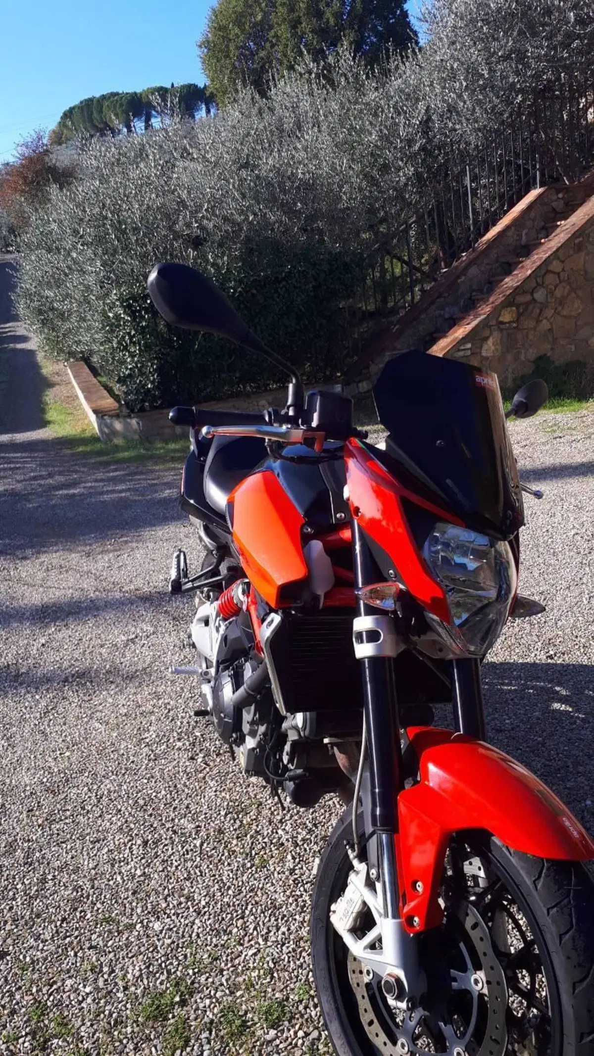 Aprilia Shiver 750 (2010 - 16) (8)